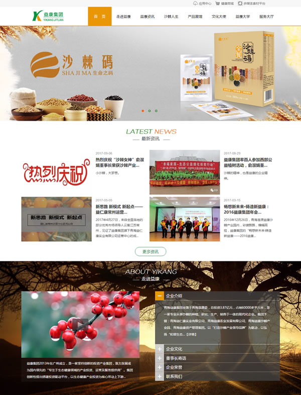 集团公司官网自适应网站 电脑版.jpg