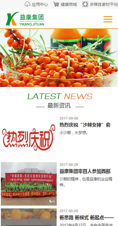 集团公司官网 手机版 自适应.jpg